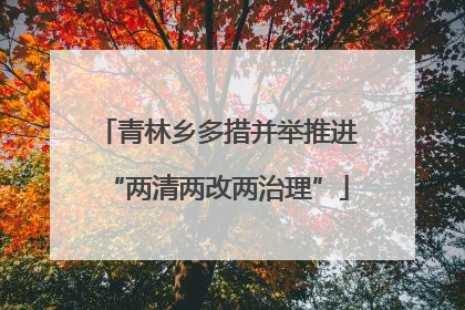 青林乡多措并举推进“两清两改两治理”