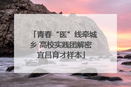 青春“医”线牵城乡 高校实践团解密宜昌育才样本