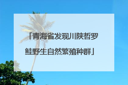 青海省发现川陕哲罗鲑野生自然繁殖种群