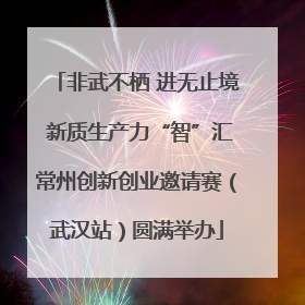 非武不栖 进无止境 新质生产力“智”汇常州创新创业邀请赛（武汉站）圆满举办