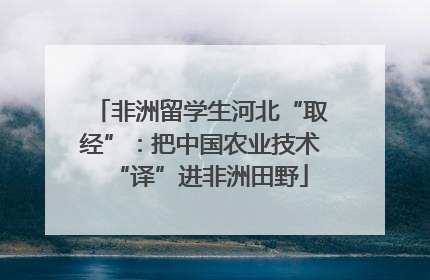 非洲留学生河北“取经”：把中国农业技术“译”进非洲田野