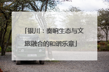 银川：奏响生态与文旅融合的和谐乐章