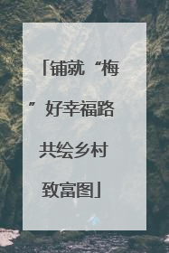 铺就“梅”好幸福路 共绘乡村致富图