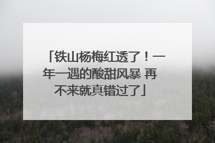铁山杨梅红透了！一年一遇的酸甜风暴 再不来就真错过了