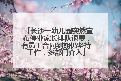 长沙一幼儿园突然宣布停业家长排队退费，有员工合同到期仍坚持工作，多部门介入