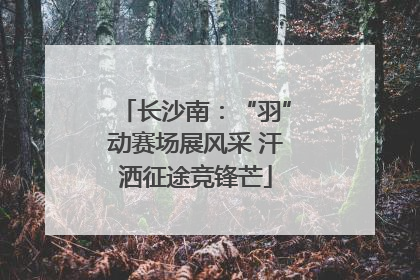 长沙南：“羽”动赛场展风采 汗洒征途竞锋芒
