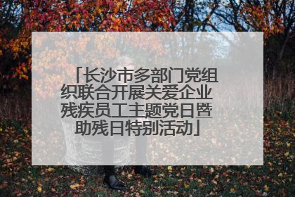 长沙市多部门党组织联合开展关爱企业残疾员工主题党日暨助残日特别活动
