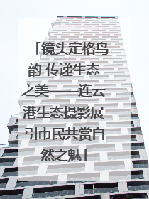镜头定格鸟韵 传递生态之美——连云港生态摄影展引市民共赏自然之魅