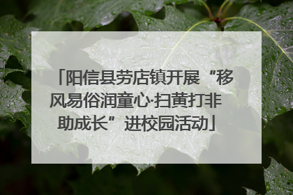 阳信县劳店镇开展“移风易俗润童心·扫黄打非助成长”进校园活动