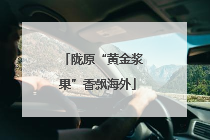 陇原“黄金浆果”香飘海外