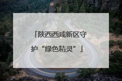 陕西西咸新区守护“绿色精灵”