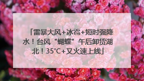 雷暴大风+冰雹+短时强降水！台风“蝴蝶”午后卸货湖北！35℃+又火速上线