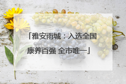 雅安雨城：入选全国康养百强 全市唯一