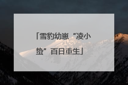 雪豹幼崽“凌小蛰”百日重生
