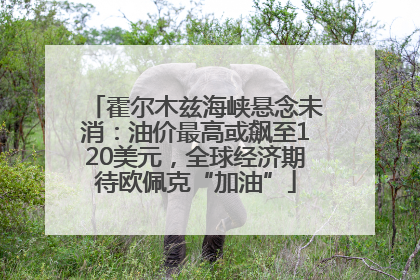 霍尔木兹海峡悬念未消：油价最高或飙至120美元，全球经济期待欧佩克“加油”