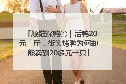 顺链探鸭①｜活鸭20元一斤，街头烤鸭为何却能卖到20多元一只