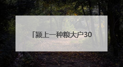 颍上一种粮大户3000余亩小麦喜丰收