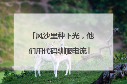 风沙里种下光，他们用代码驯服电流