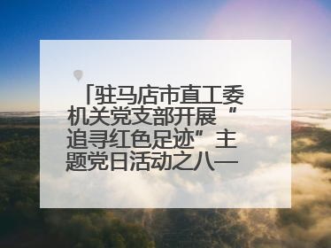 驻马店市直工委机关党支部开展“追寻红色足迹”主题党日活动之八——鏖战独树镇