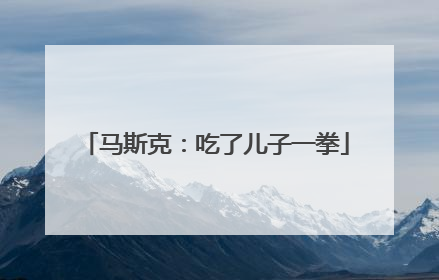 马斯克：吃了儿子一拳