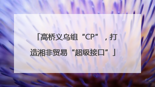 高桥义乌组“CP”，打造湘非贸易“超级接口”