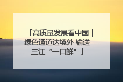 高质量发展看中国｜绿色通道达境外 输送三江“一口鲜”
