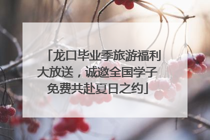 龙口毕业季旅游福利大放送，诚邀全国学子免费共赴夏日之约