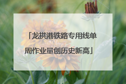 龙拱港铁路专用线单周作业量创历史新高