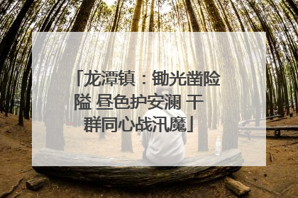 龙潭镇：锄光凿险隘 昼色护安澜 干群同心战汛魔