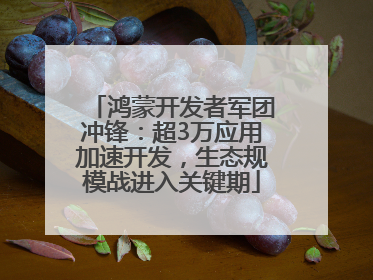 鸿蒙开发者军团冲锋：超3万应用加速开发，生态规模战进入关键期