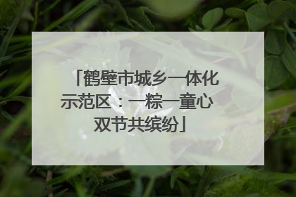 鹤壁市城乡一体化示范区：一粽一童心 双节共缤纷