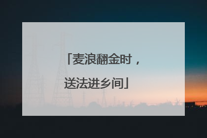 麦浪翻金时，送法进乡间