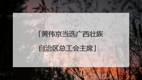 黄伟京当选广西壮族自治区总工会主席