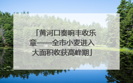 黄河口奏响丰收乐章——全市小麦进入大面积收获高峰期