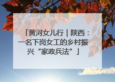 黄河女儿行｜陕西：一名下岗女工的乡村振兴“家政兵法”