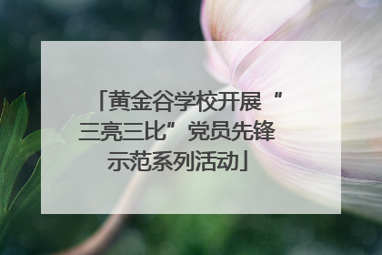 黄金谷学校开展“三亮三比”党员先锋示范系列活动