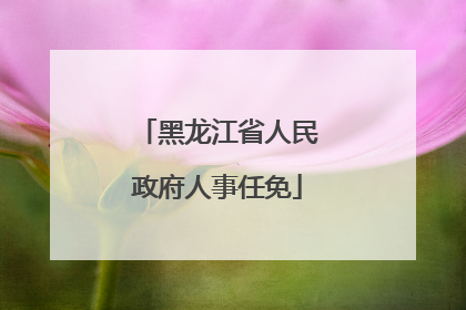黑龙江省人民政府人事任免