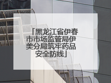 黑龙江省伊春市市场监管局伊美分局筑牢药品安全防线