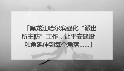 黑龙江哈尔滨强化“派出所主防”工作，让平安建设触角延伸到每个角落……