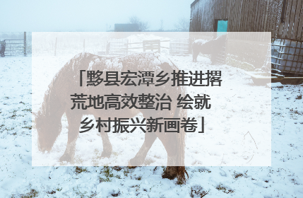 黟县宏潭乡推进撂荒地高效整治 绘就乡村振兴新画卷