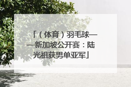 （体育）羽毛球——新加坡公开赛：陆光祖获男单亚军