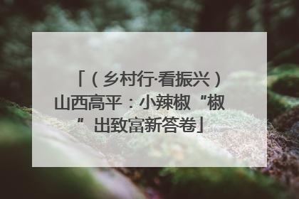 （乡村行·看振兴）山西高平：小辣椒“椒”出致富新答卷