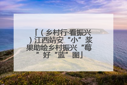 （乡村行·看振兴）江西靖安“小”浆果助绘乡村振兴“莓”好“蓝”图