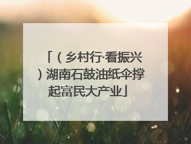 （乡村行·看振兴）湖南石鼓油纸伞撑起富民大产业