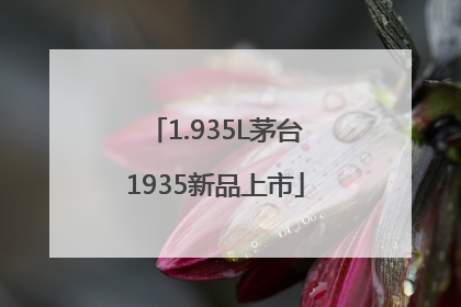 1.935L茅台1935新品上市