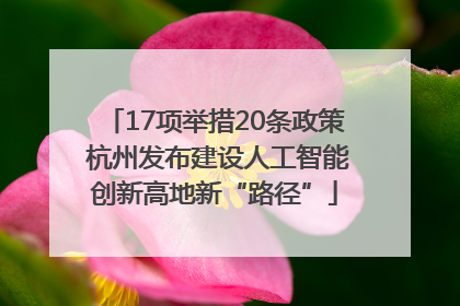 17项举措20条政策 杭州发布建设人工智能创新高地新“路径”
