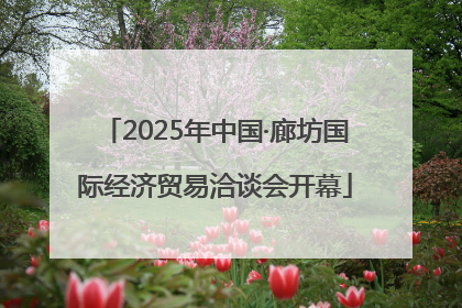 2025年中国·廊坊国际经济贸易洽谈会开幕
