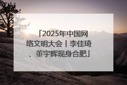 2025年中国网络文明大会丨李佳琦、董宇辉现身合肥