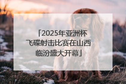 2025年亚洲杯飞碟射击比赛在山西临汾盛大开幕