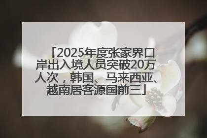 2025年度张家界口岸出入境人员突破20万人次，韩国、马来西亚、越南居客源国前三